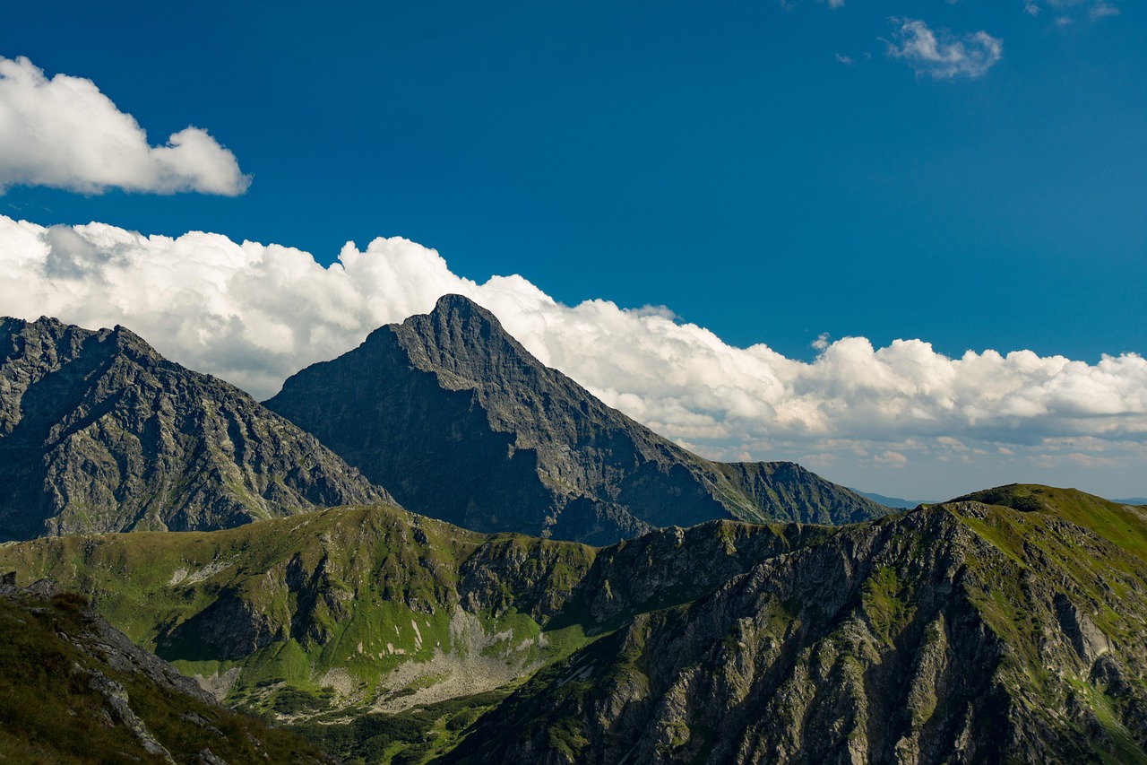 かに本舗の通販で見つける最安値はどこですか？