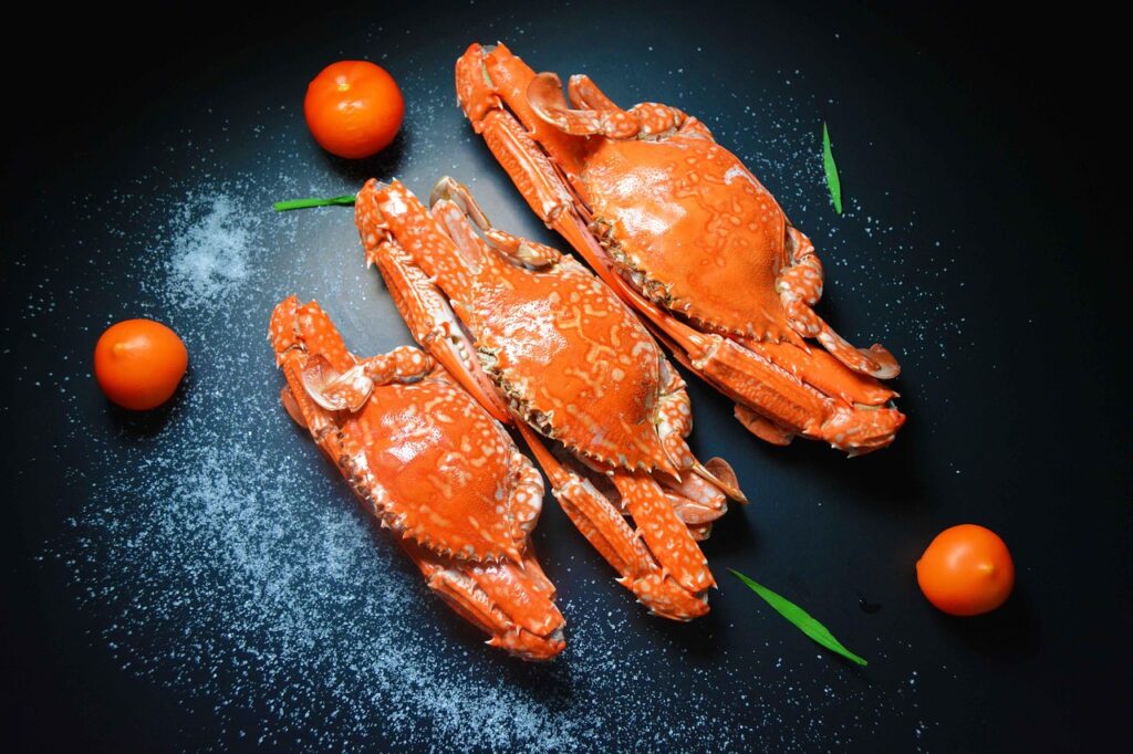 カニ通販でかに本舗の安い商品を見つける方法は？