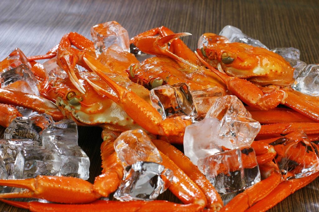 ズワイガニ食べ比べ2025年のおすすめメニューは？