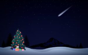 2025年のお歳暮におすすめのカニランキングは？