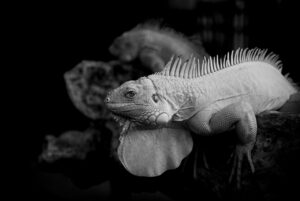 かに本舗の配送トラブルの対処法は？