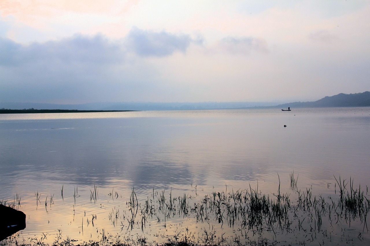 カニの値段が安い理由とは何ですか？
