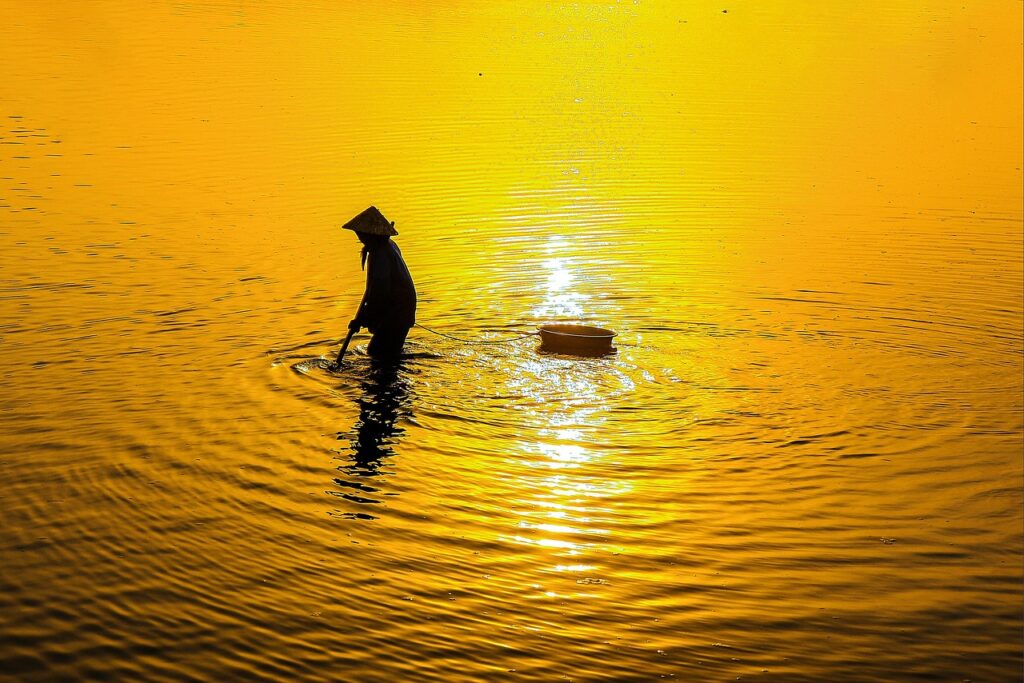 カニ通販で失敗しない買い方のポイントは？