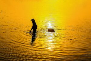 カニ通販で失敗しない買い方のポイントは？